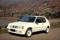 peugeot 205 rallye