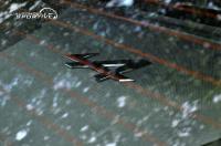 alpine_a110s_16.jpg