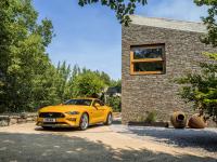 ford-mustanggt-2018eurospecs_01.jpg