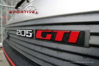 205_gti_1l9_02.jpg