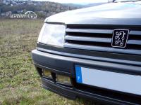 peugeot-309-gti16_08.jpg
