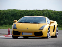 gallardo
